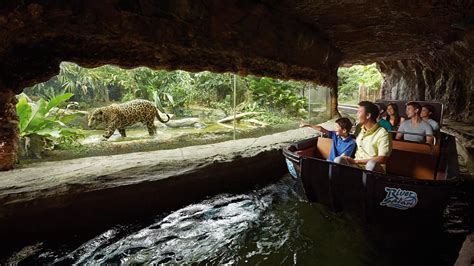 singapore zoo river wonders